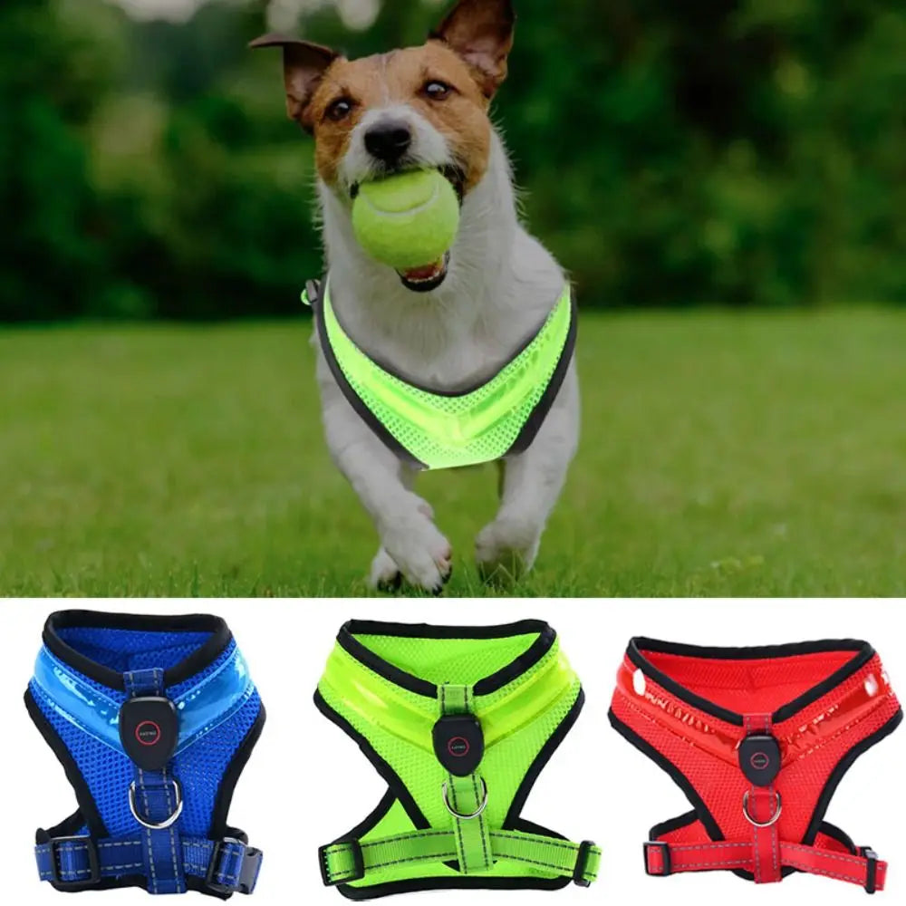 Pet Dog Supplies Luminous Pet LED Harness Breathable Rechargeable Dog Traction Harness Waterproof Dog Vest Night