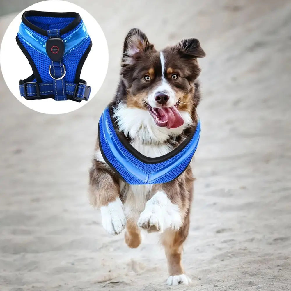 Pet Dog Supplies Luminous Pet LED Harness Breathable Rechargeable Dog Traction Harness Waterproof Dog Vest Night